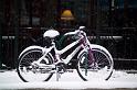 4195bikesnowsml